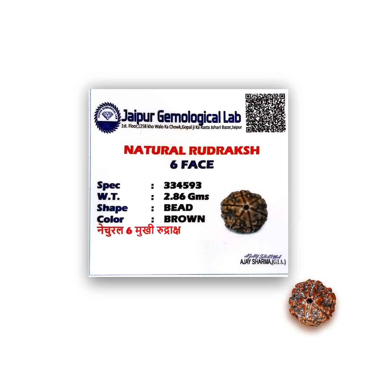 Six Mukhi Rudraksha