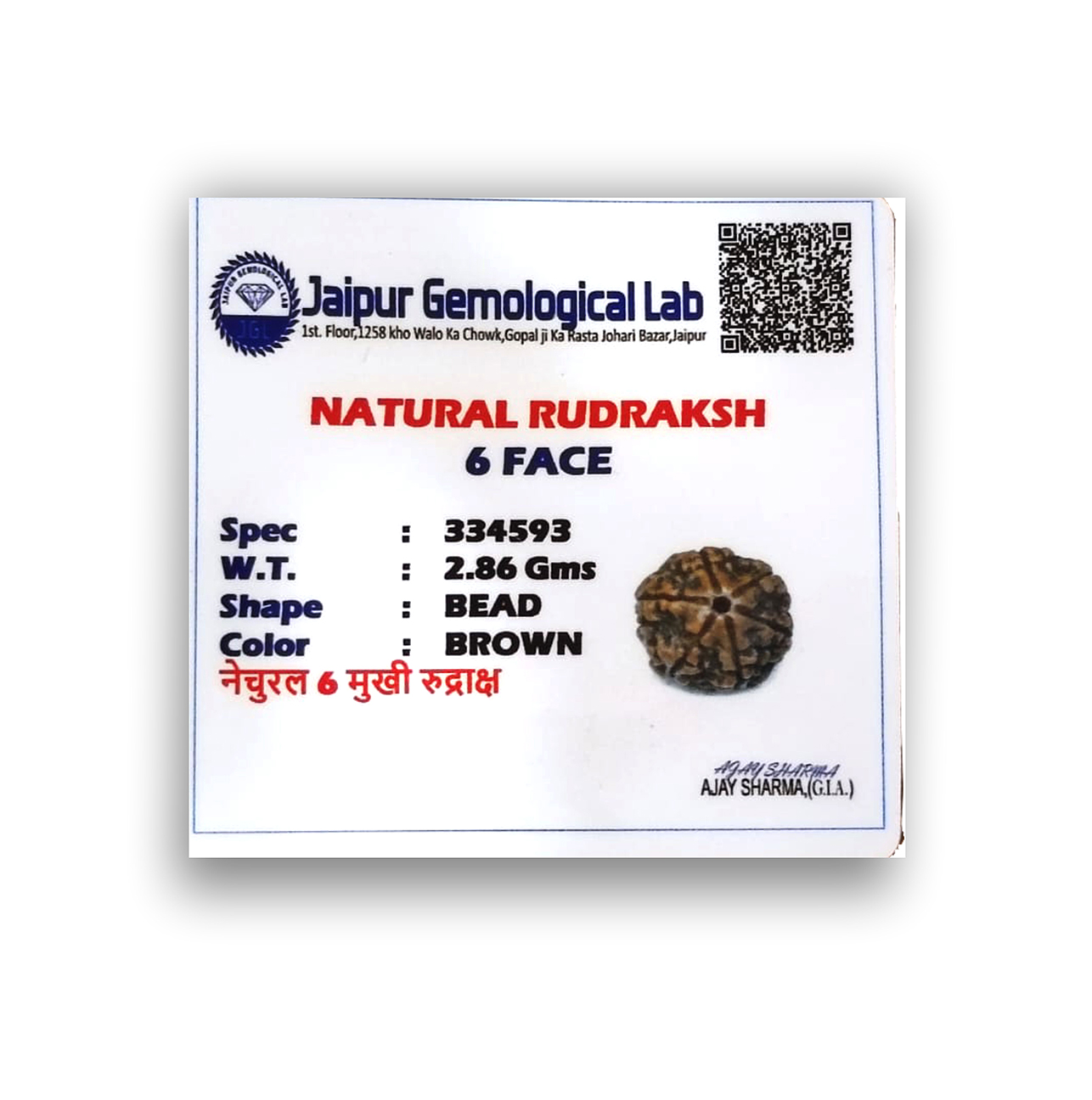 Six Mukhi Rudraksha